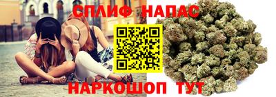 PSILOCYBIN Баксан