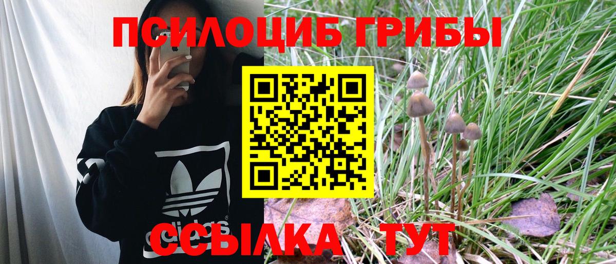 купить   Галлюциногенные грибы Magic Shrooms  Галлюциногенные грибы Psilocybe  Вход с VPN  Белогорск 